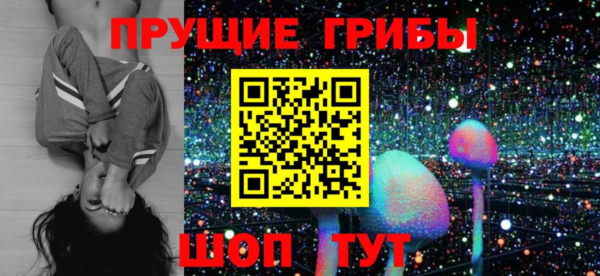 Псилоцибиновые грибы GOLDEN TEACHER  Вход с VPN  Звенигород  Псилоцибиновые грибы MAGIC MUSHROOMS 